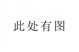 大丰要债公司